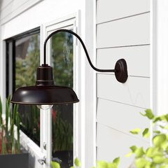 Wayfair outdoor store barn lights